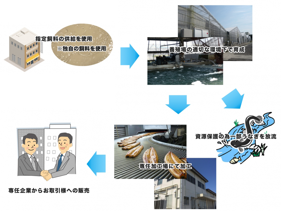 こだわりの静岡県産うなぎ