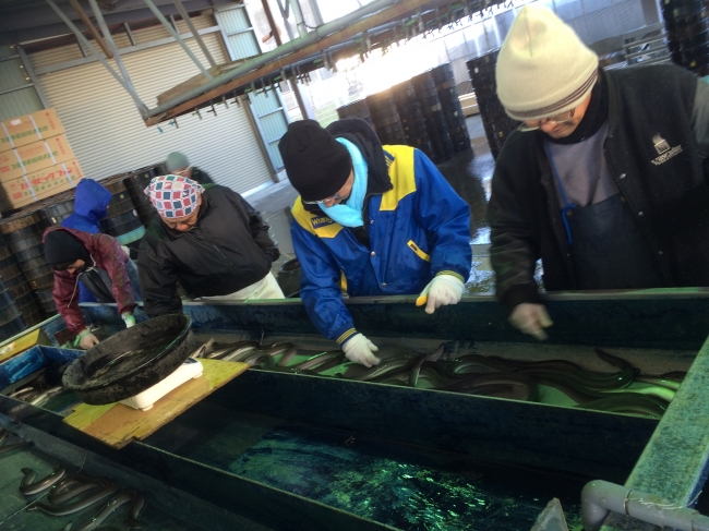 平成26年12月初池上げ！